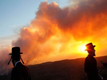 Fire destroys 90 per cent of forest reserve in Argentina