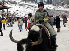 Rohtang Pass Still Off Limits, Taxi Unions On Strike, Tourists Suffer In Manali
