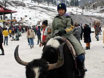 Shimla, Manali wrapped under white blanket