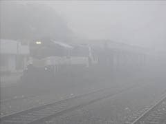 Fog, cold affects normal life in North India