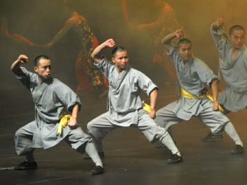 Africans get a kick out of Shaolin kung fu