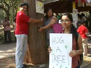 A festival of trees in Bangalore