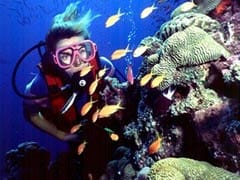 Tourism operators fume over Great Barrier Reef dumping plan
