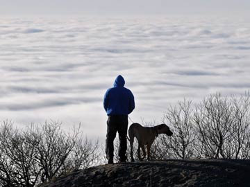 UK's tallest dog is over seven feet tall and still growing