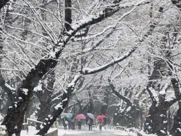 Snow storm hits Japan again, grounds over 100 flights