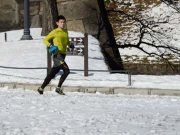 Snowstorm leaves 19 dead, causes transport chaos in Japan