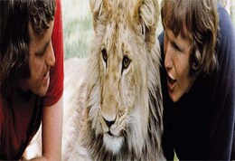 Christian the lion and the most amazing hug in the world Christian the lion and the most amazing hug in the world