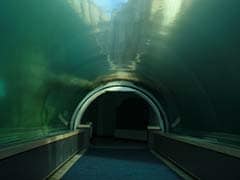 China plans to build world's longest underwater tunnel