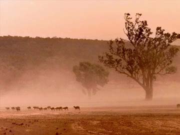 Lost German survived on flies in the Australian Outback 