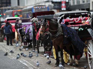 New York aims to drive out Central Park's horse-drawn carriages