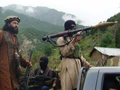 Pakistani Taliban announce month-long ceasefire
