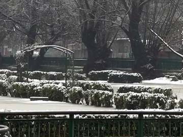 Srinagar witnesses fresh snowfall