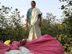 Farmers in Vidarbha pushed into debt traps