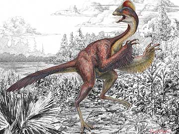 'Chicken from hell' dinosaur gets a proper name 