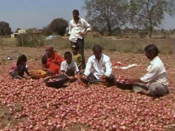 Don't commit suicide: Maharashtra Chief Minister appeals to farmers hit by crop loss