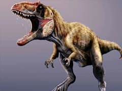 Huge new dinosaur in Portugal was predator king: study