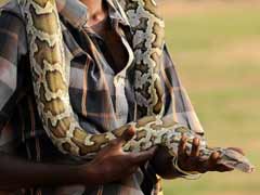 Guess what this man did after being bitten by a snake?