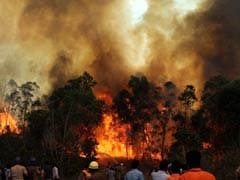 Reports of new fire in hills near Tirumala temple