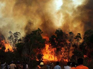Reports of new fire in hills near Tirumala temple