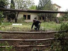 European volunteers help Greek 'bailout gardens'