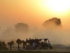 1 In 3 Farmers In Punjab Below Poverty Line: Study