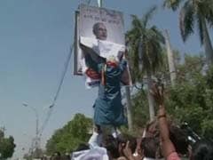 Narendra Modi's opponent, arrested for tearing his posters, gets bail