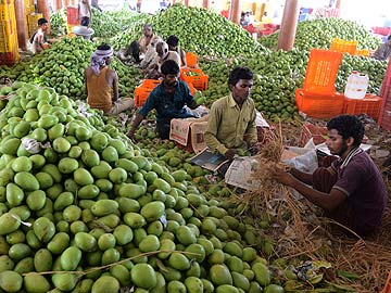 India irked by European Union ban on Alphonso mangoes