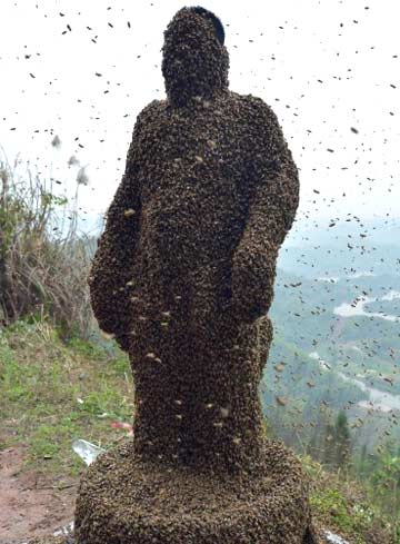 Chinese man covered with 4,60,000 bees for honey stunt