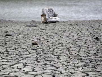 UN warns of drought crisis in Syria 