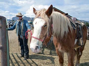Big riders mean big horses on Western trails