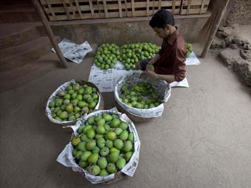 India asks European Union to lift mango ban, quality checks in place 