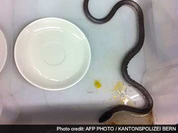 Snake forces evacuation of Swiss train 