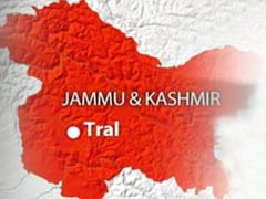 Suspected militants kill sarpanch, his son in Jammu and Kashmir
