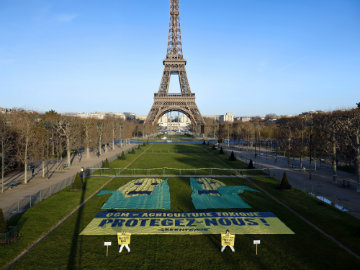 France Definitively Bans Genetically Modified Corn
