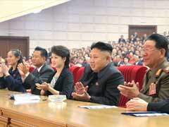 North Korea Kidnap Probe an Attempt to Divide Foes: Analysts