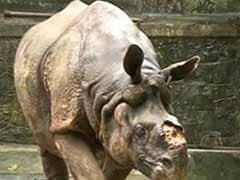 Delhi Zoo Authorities Brace up to Beat the Heat