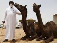 Saudi Arabia Warns of MERS Risk From Camels as Cases Rise