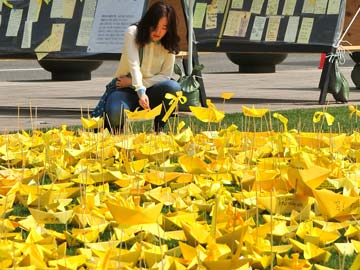 Diary Reveals Harrowing Search for Korea Ferry Bodies