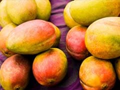 Nashik: 400 Kg Artificially Ripened Mangoes Seized