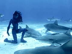 World First: Real-Life 'Mermaid' Dances Underwater With Tiger Sharks