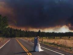 This Happened: A Wedding in a Forest. The Forest Caught Fire