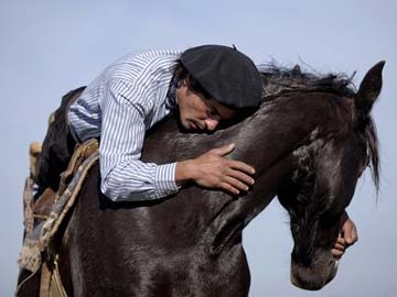 Argentine Cowboy Tames With Whispers, Not Whips 