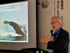Australia, New Zealand Urge Japan to Respect Anti-Whaling Ban