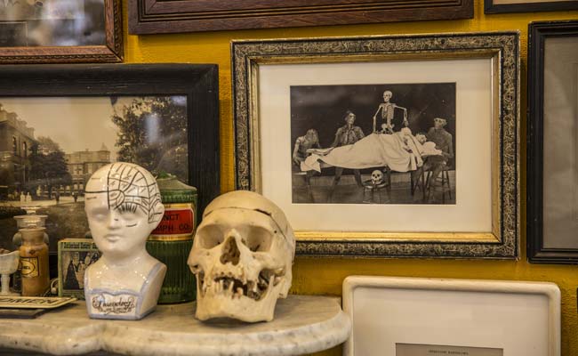 Morbid Anatomy Museum: The Dark Side Gets Its Due