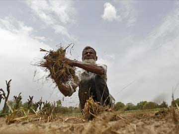 Government Considering Contingency Plans to Deal With Poor Rain