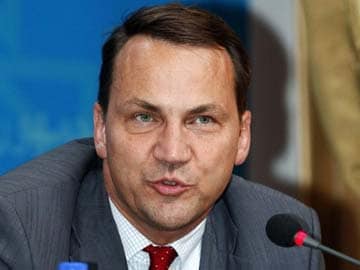 Poland's Foreign Minister Mocks Elon Musk After His Feud With Trump Poland's Foreign Minister Mocks Elon Musk After His Feud With Trump