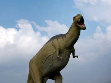 Dinosaur Metabolism: Not Too Hot, Not Too Cold