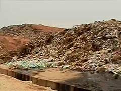 Solution to Mandur's Stinking Problem May Take Another Six Months