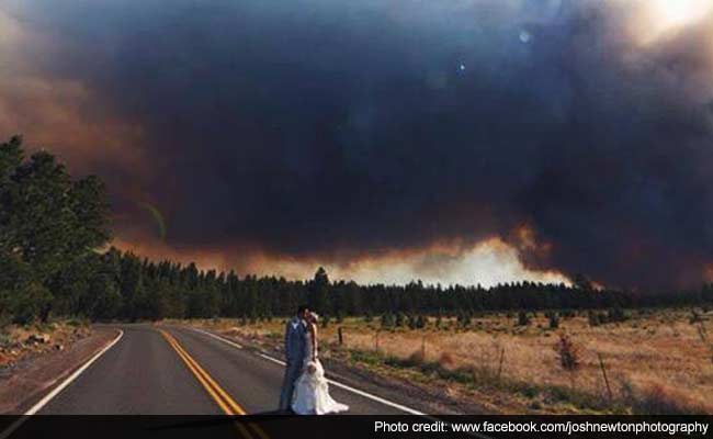 This Happened: A Wedding in a Forest. The Forest Caught Fire