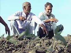 Madhya Pradesh Farmers Brace for Another Troublesome Monsoon Season
